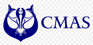CMAS Scientific Committee